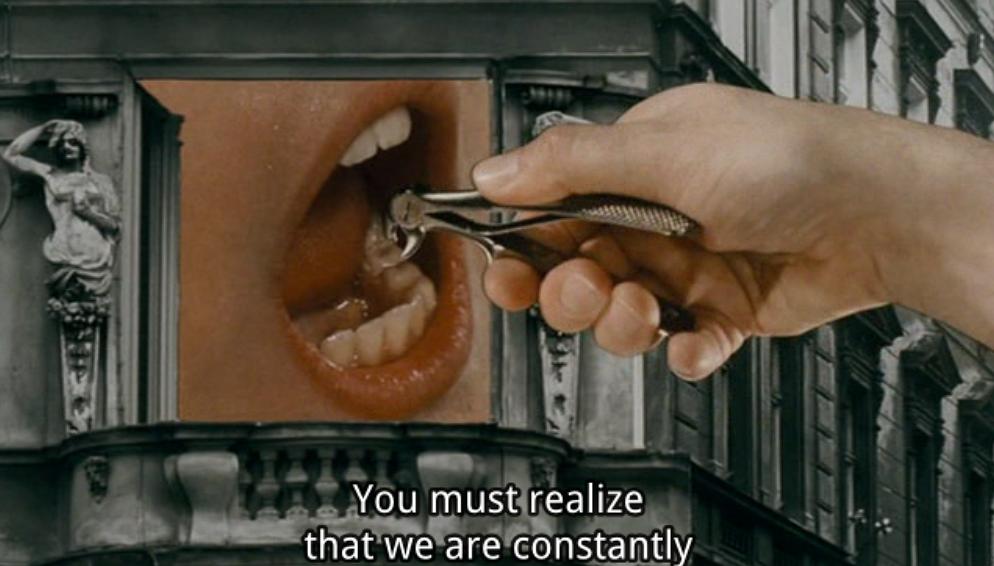 《幸存的生命（理论与实践）》海报第21张图片