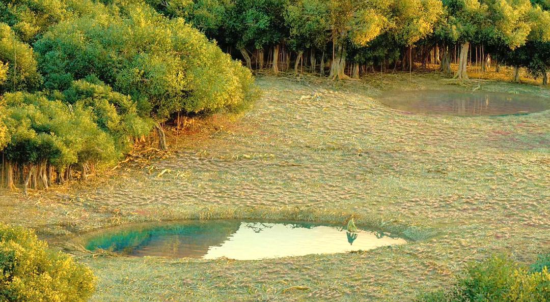 《少年派的奇幻漂流》剧照第26张图片