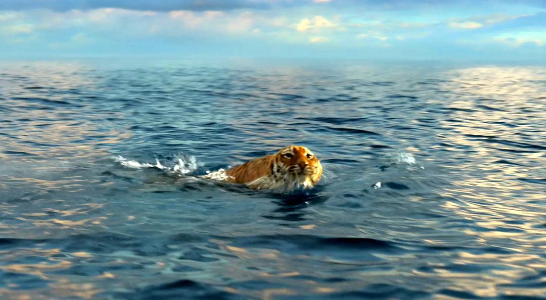 《少年派的奇幻漂流》剧照第13张图片