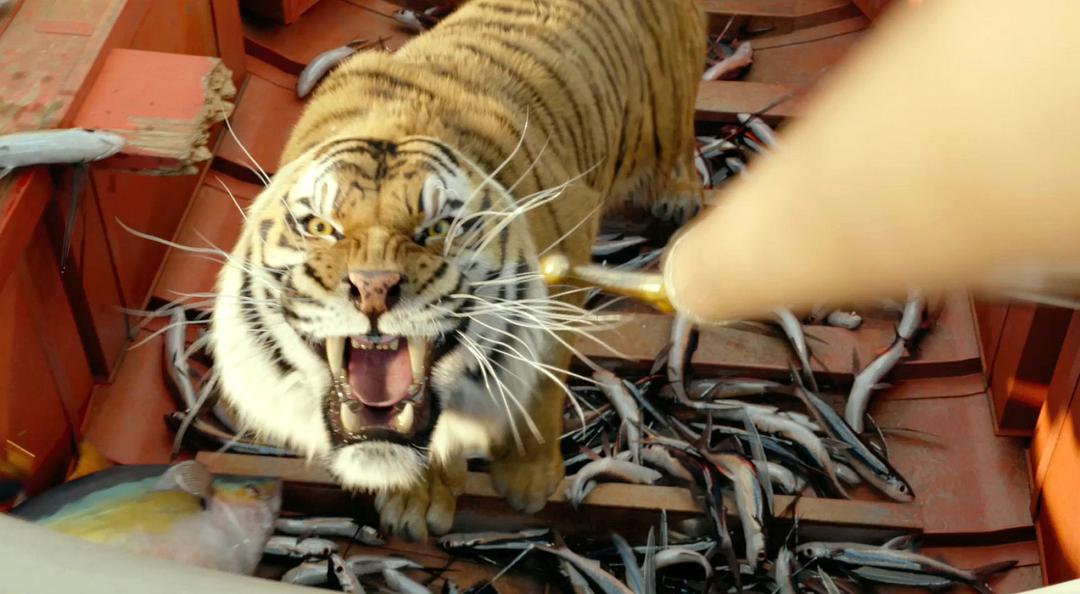 《少年派的奇幻漂流》剧照第18张图片