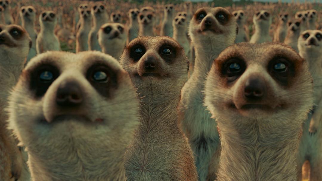 《少年派的奇幻漂流》剧照第14张图片