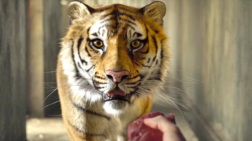 《少年派的奇幻漂流》剧照第24张图片