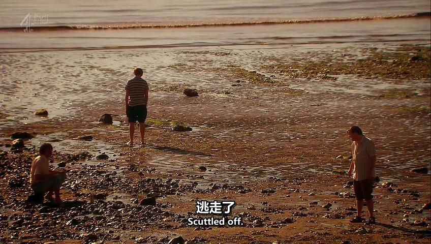 《德里克第一季》剧照第43张图片