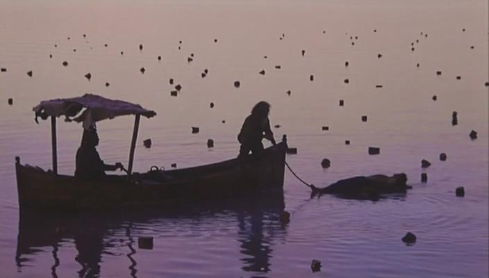 《白草地》剧照第10张图片 《白草地》剧照第10张图片