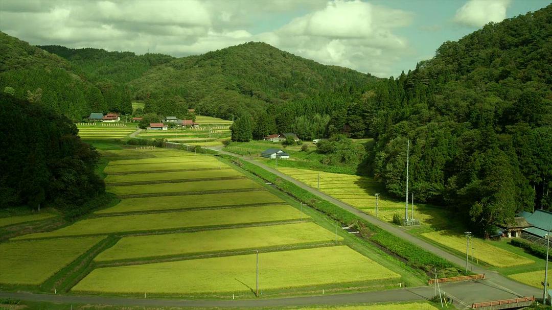 《小森林夏秋篇》剧照第43张图片