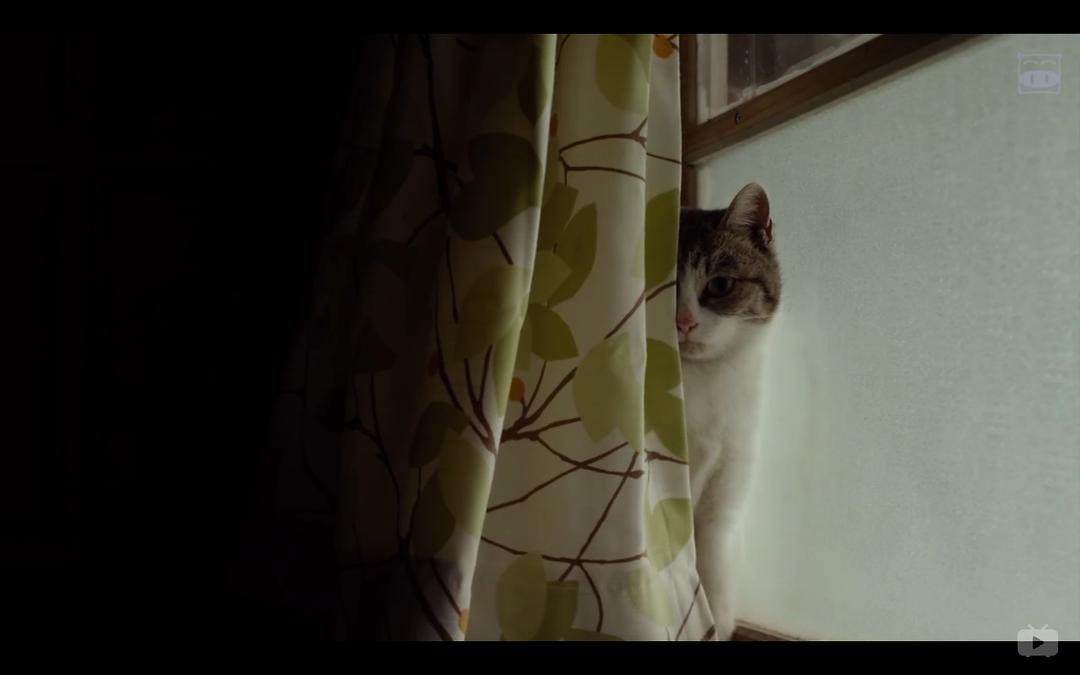 《小森林夏秋篇》剧照第36张图片