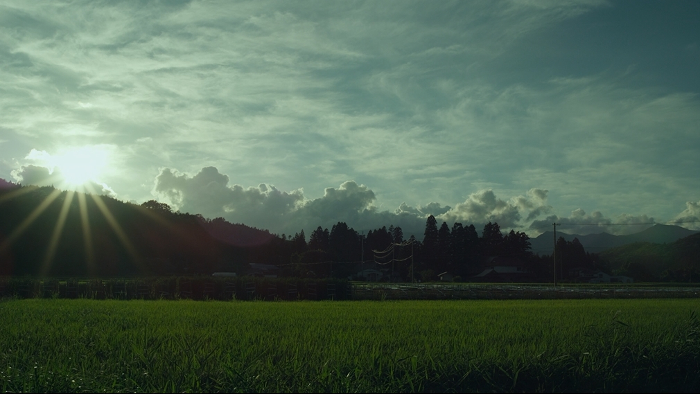 《小森林夏秋篇》剧照第41张图片