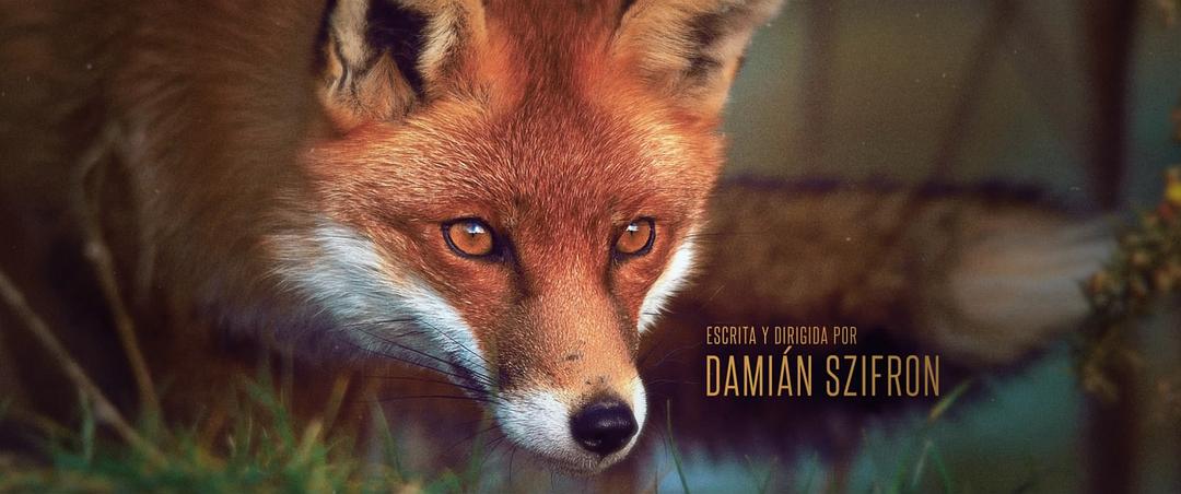 《荒蛮故事》海报第26张图片