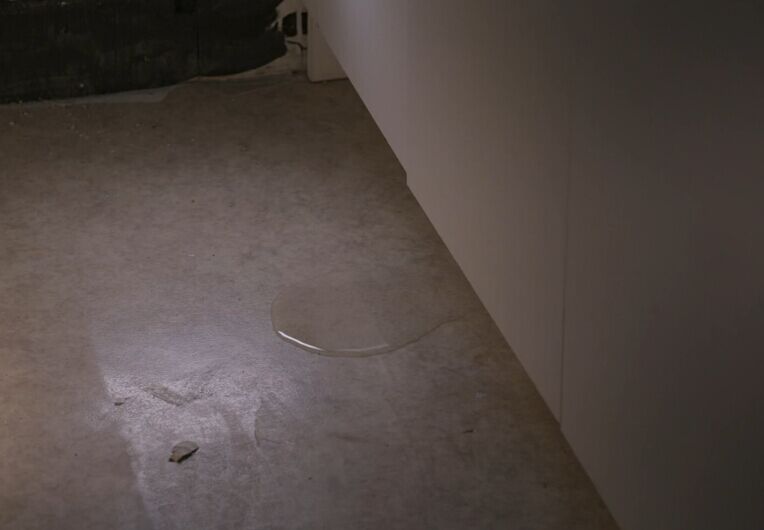 《心房客》海报第56张图片