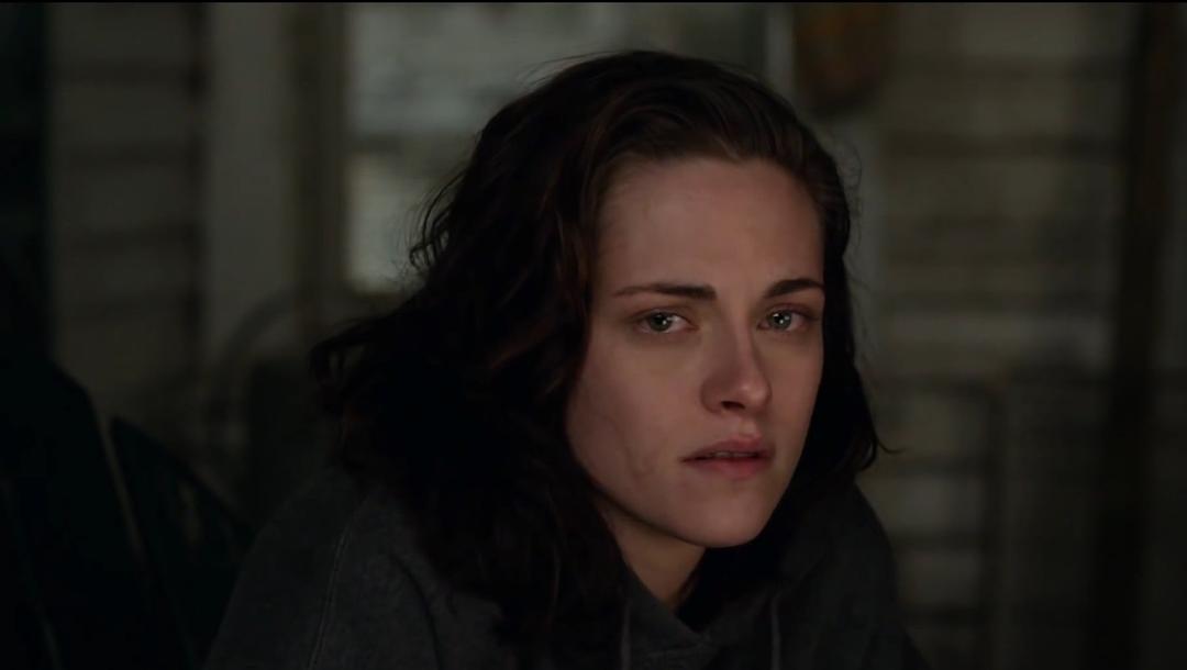 《比利·林恩的中场战事》海报第3张图片