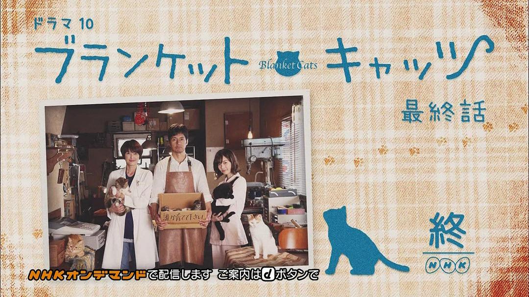 《毛毯猫》剧照第51张图片