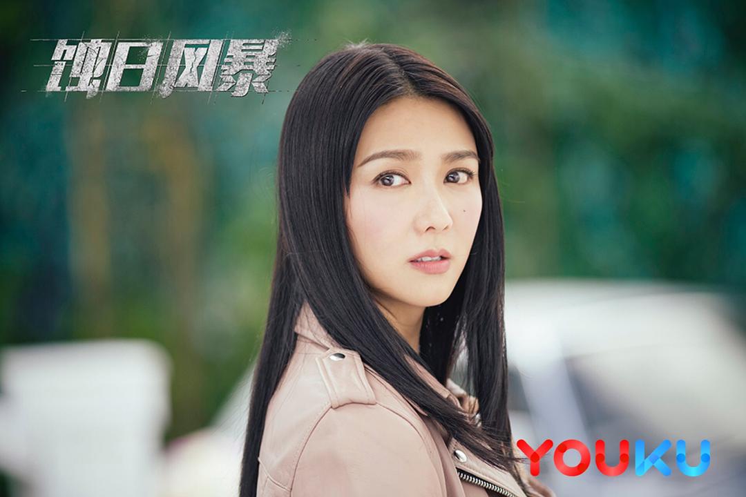 《蚀日风暴》剧照第1张图片