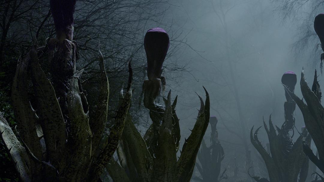 《三尖树时代》剧照