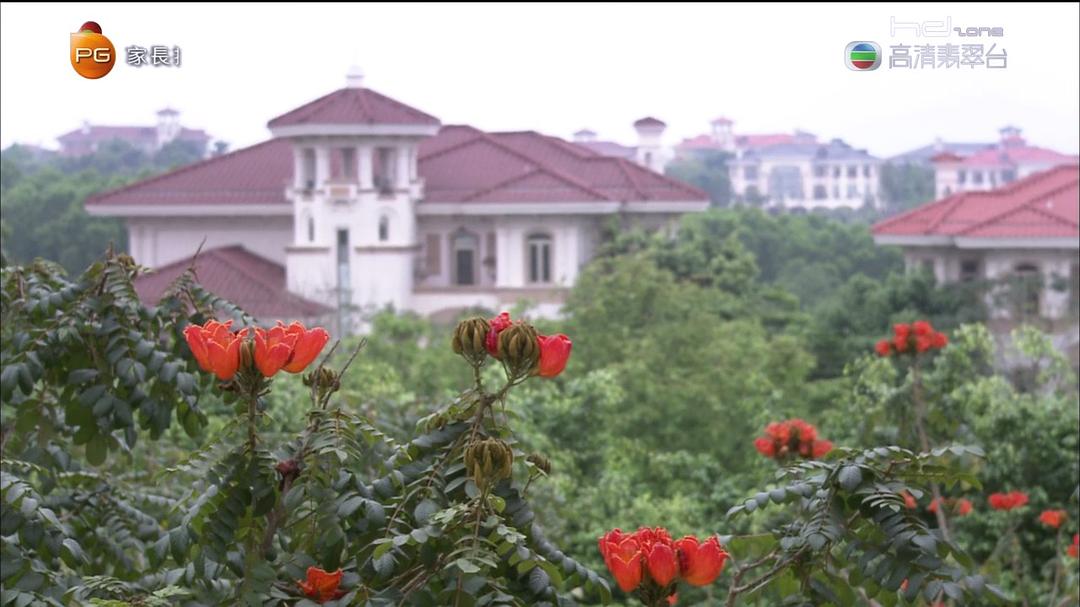 《摘星之旅》剧照第50张图片