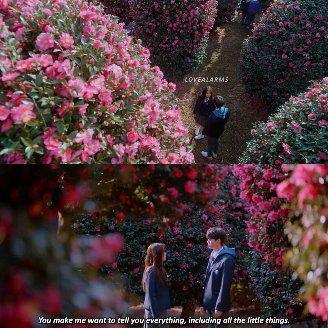 《喜欢的话请响铃》海报第19张图片