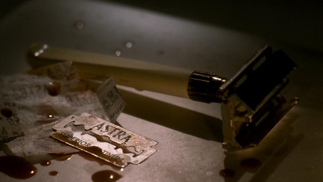 《幸存的生命（理论与实践）》海报第39张图片