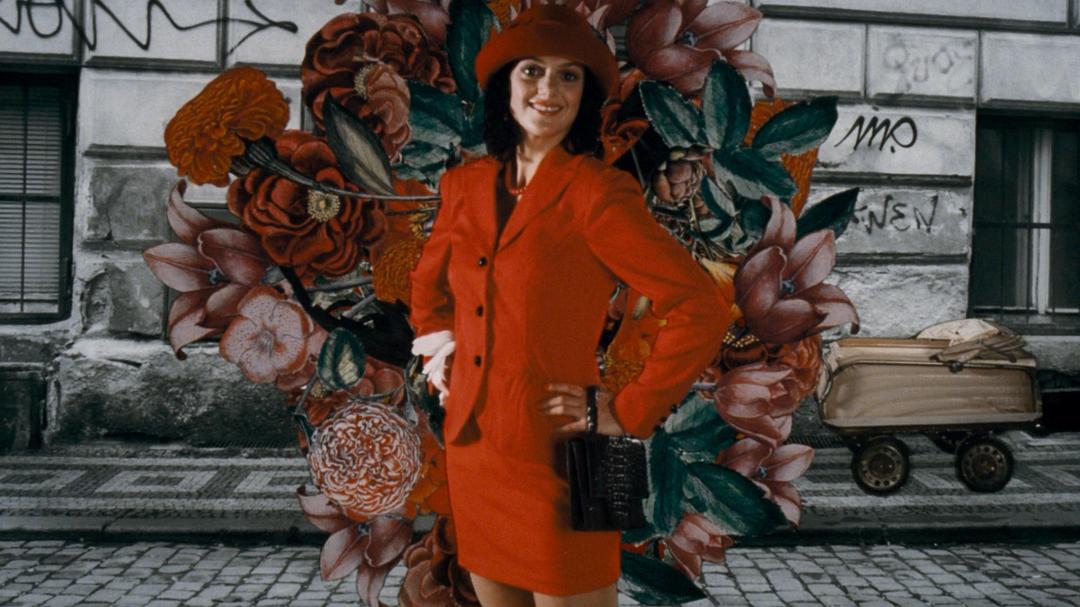 《幸存的生命（理论与实践）》海报第32张图片