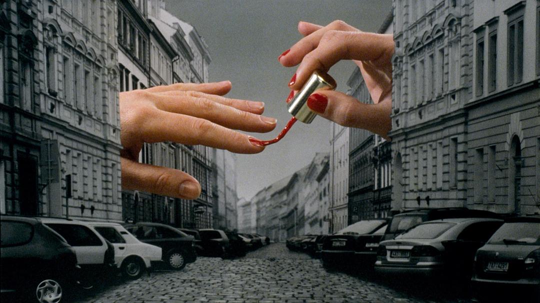 《幸存的生命（理论与实践）》海报第31张图片