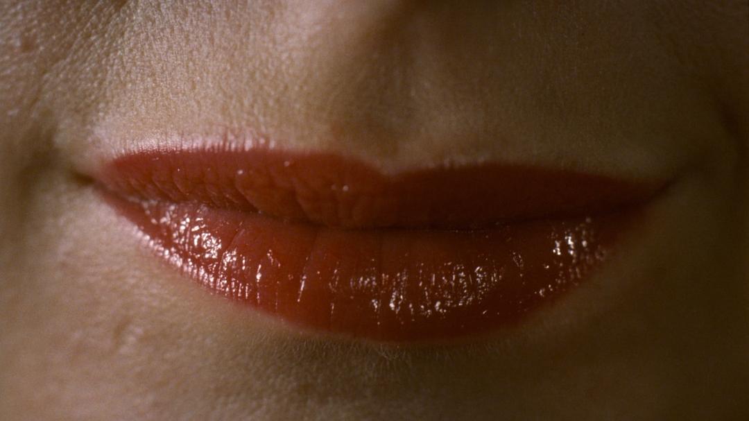 《幸存的生命（理论与实践）》海报第7张图片