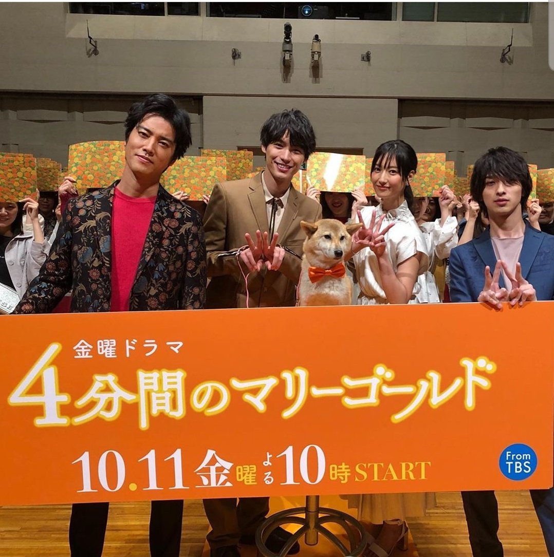 《四分钟的金盏菊》海报第40张图片