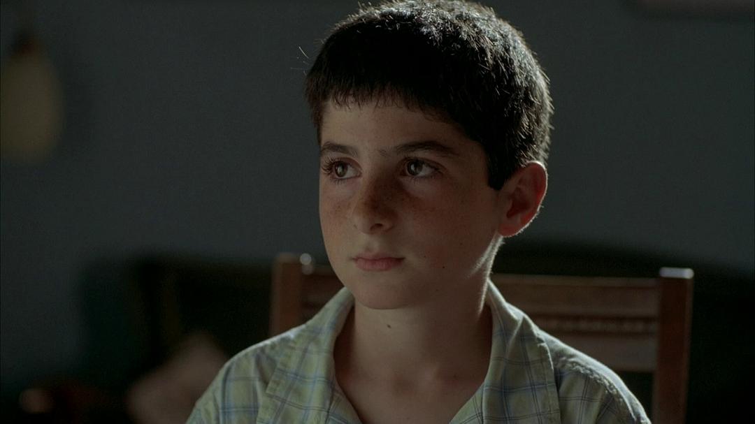 《小小的叛国者》海报第29张图片