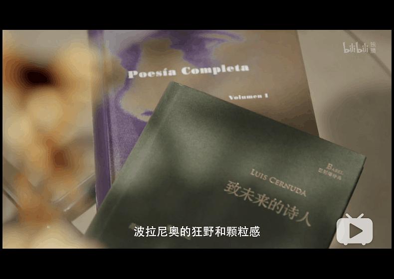 《但是还有书籍》海报第17张图片