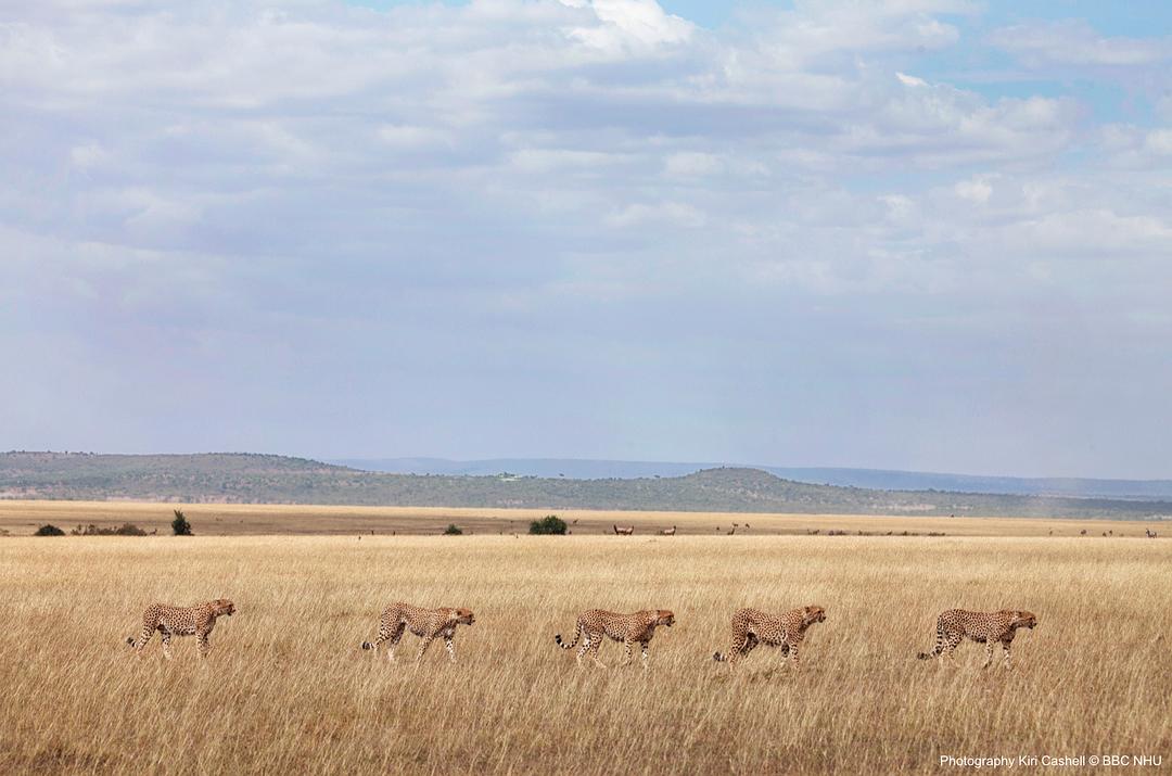 《七个世界,一个星球》海报第28张图片 《七个世界,一个星球》海报第28张图片