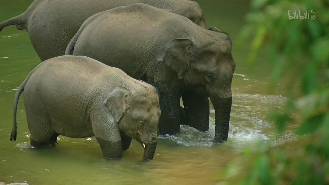 《未至之境》剧照第14张图片