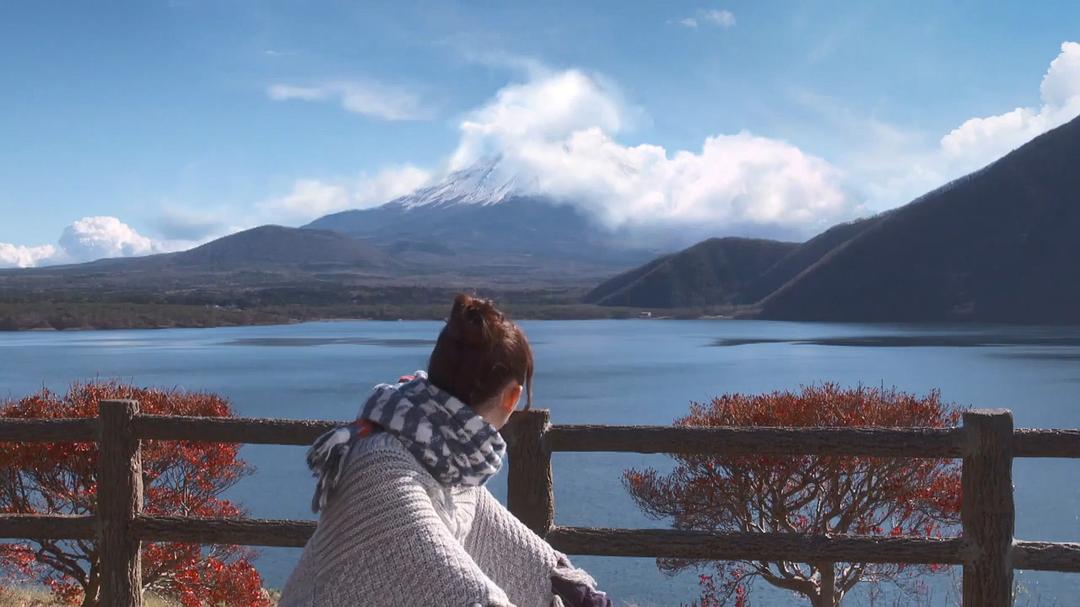 《摇曳露营》海报第14张图片