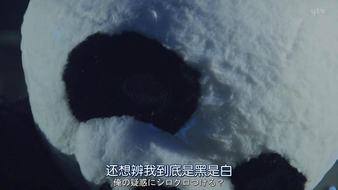 《在不白不黑的世界里，熊猫笑了》剧照第13张图片