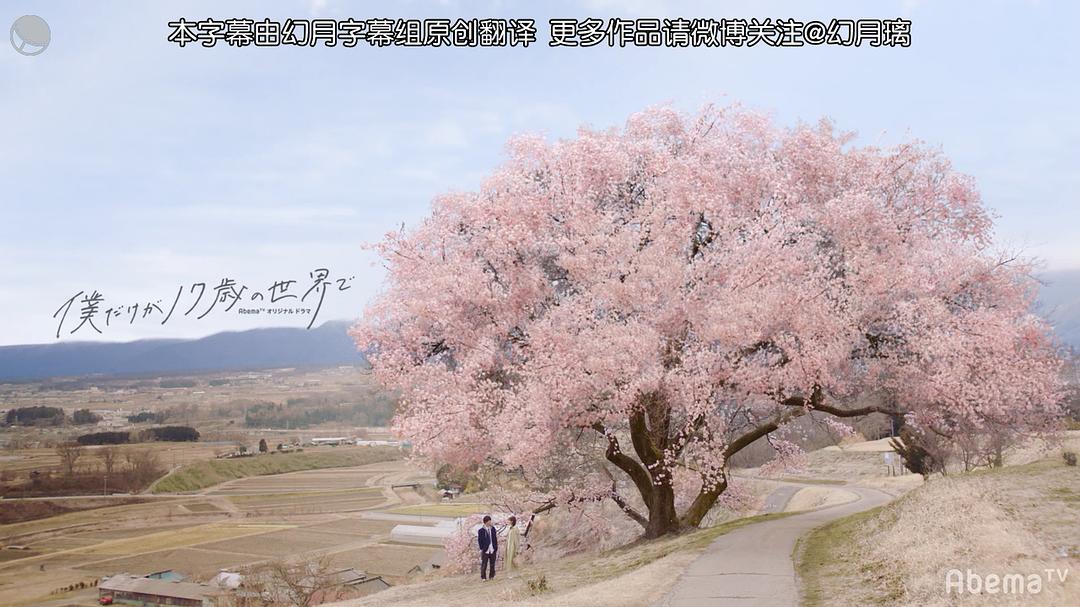 《只有我是17岁的世界》海报第14张图片