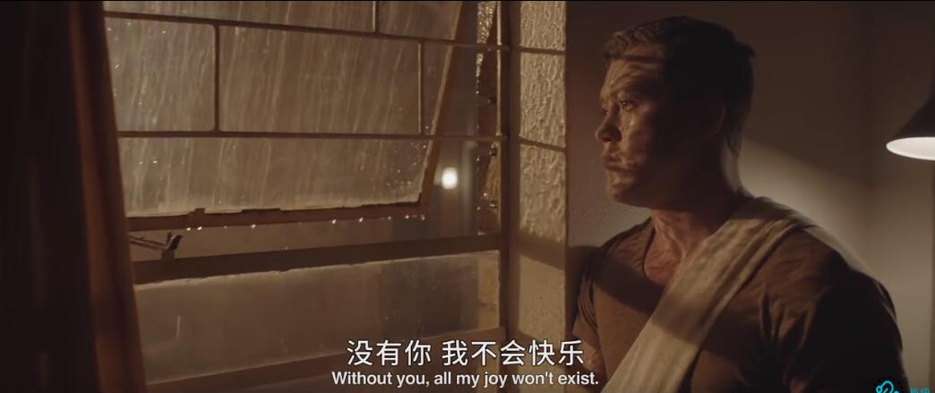 《给鸟儿的情书》海报第20张图片 《给鸟儿的情书》海报第20张图片