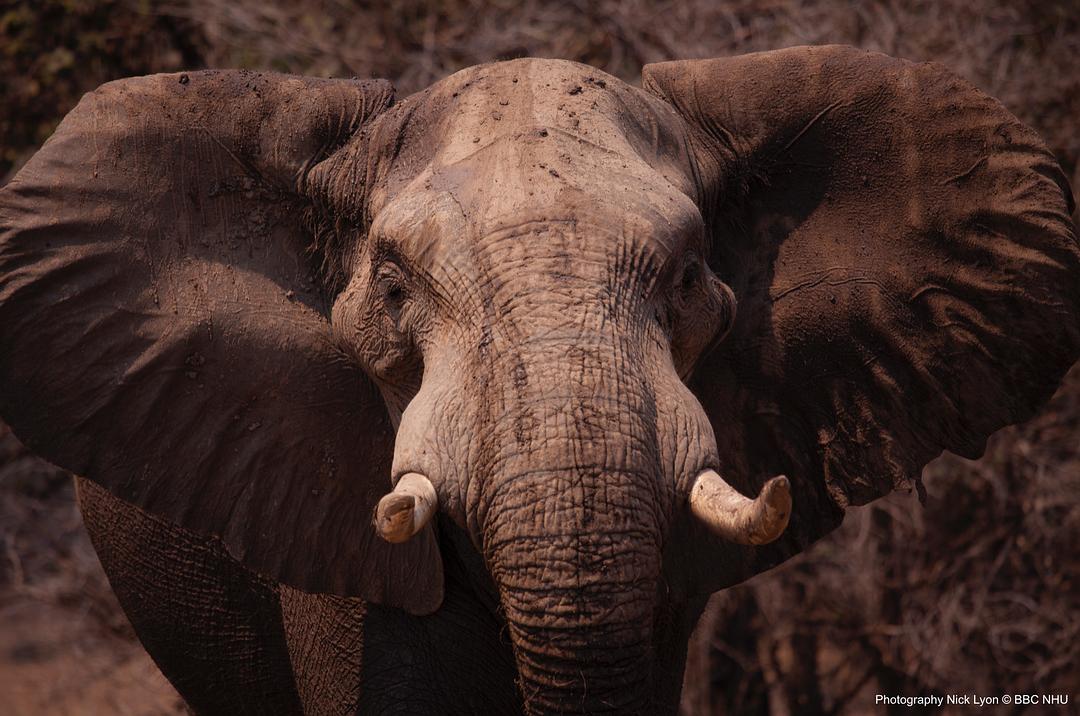 《七个世界,一个星球》海报第47张图片 《七个世界,一个星球》海报第47张图片