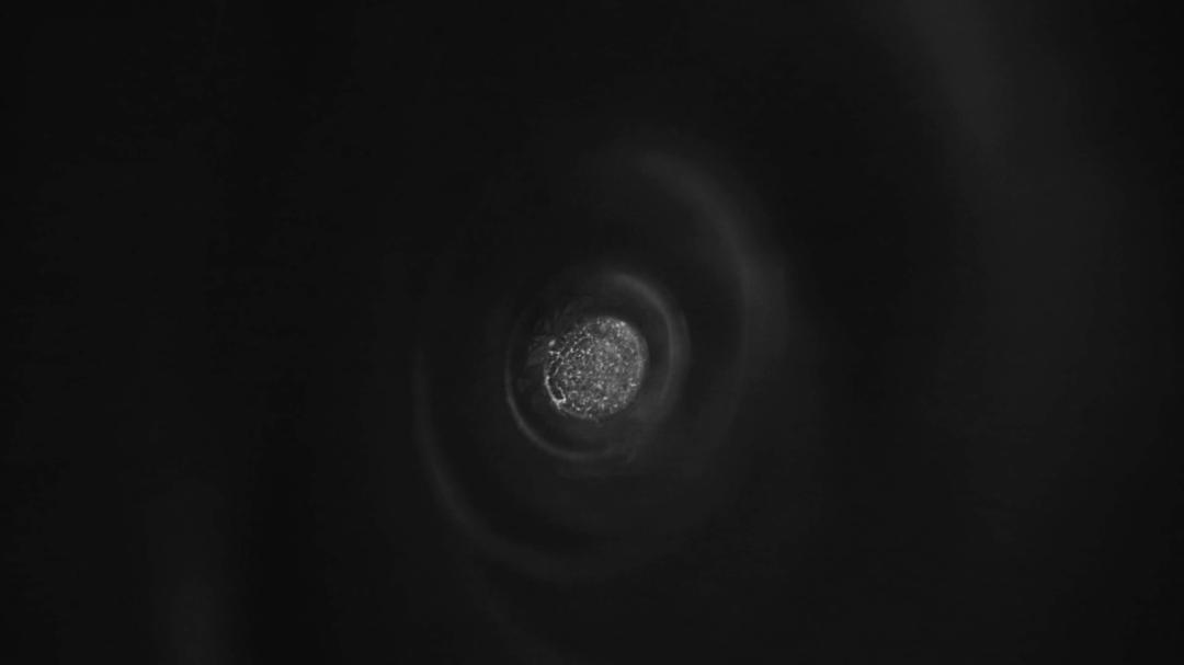 《谜之音》海报第43张图片 《谜之音》海报第43张图片