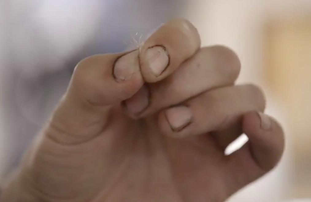 《谁是美国？》海报第9张图片