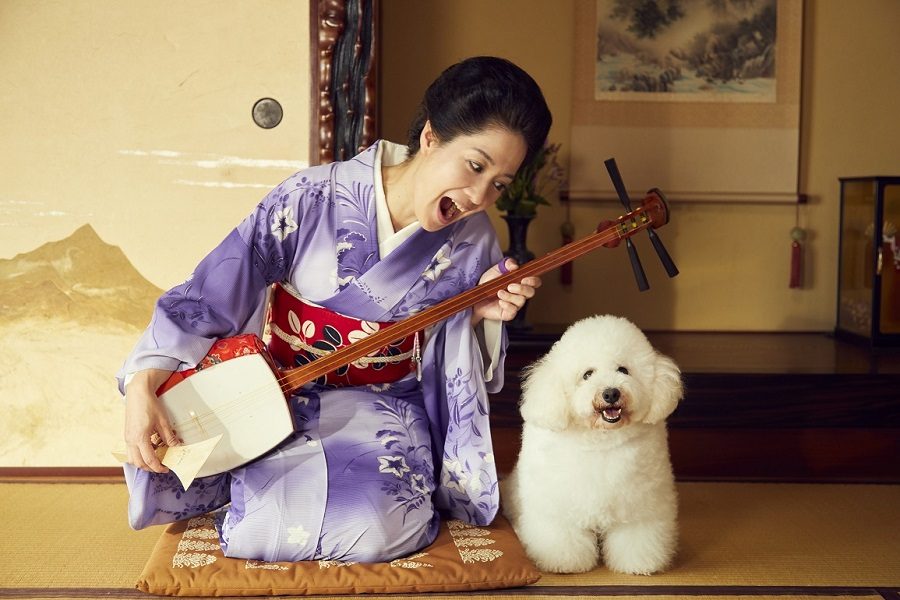 《我与尾巴与神乐坂》海报第4张图片 《我与尾巴与神乐坂》海报第4张图片