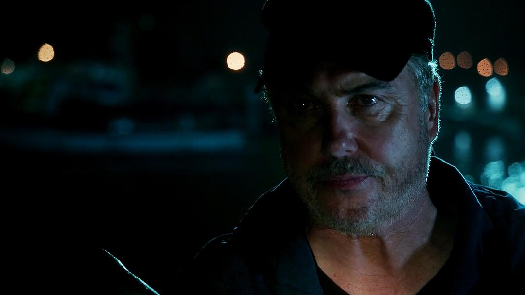 《犯罪现场调查完结篇：不朽》海报第51张图片