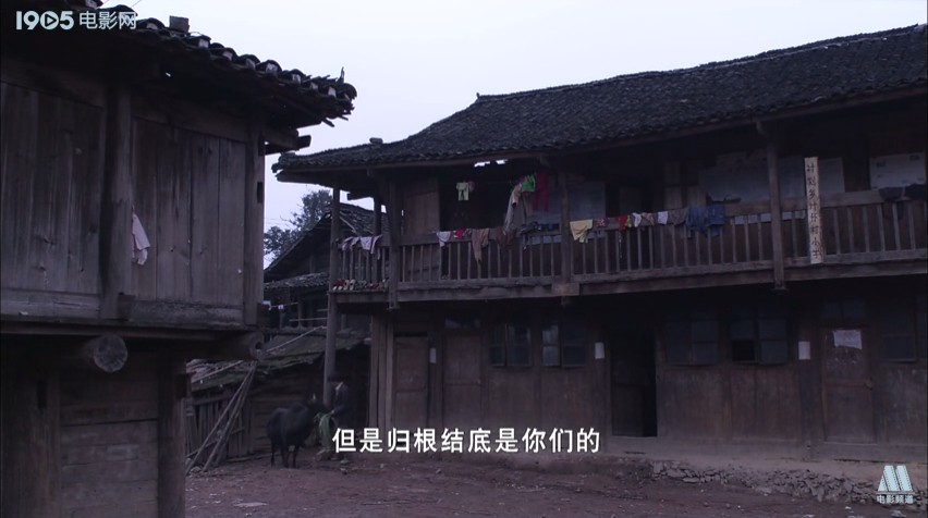 《开水要烫，姑娘要壮》海报第13张图片