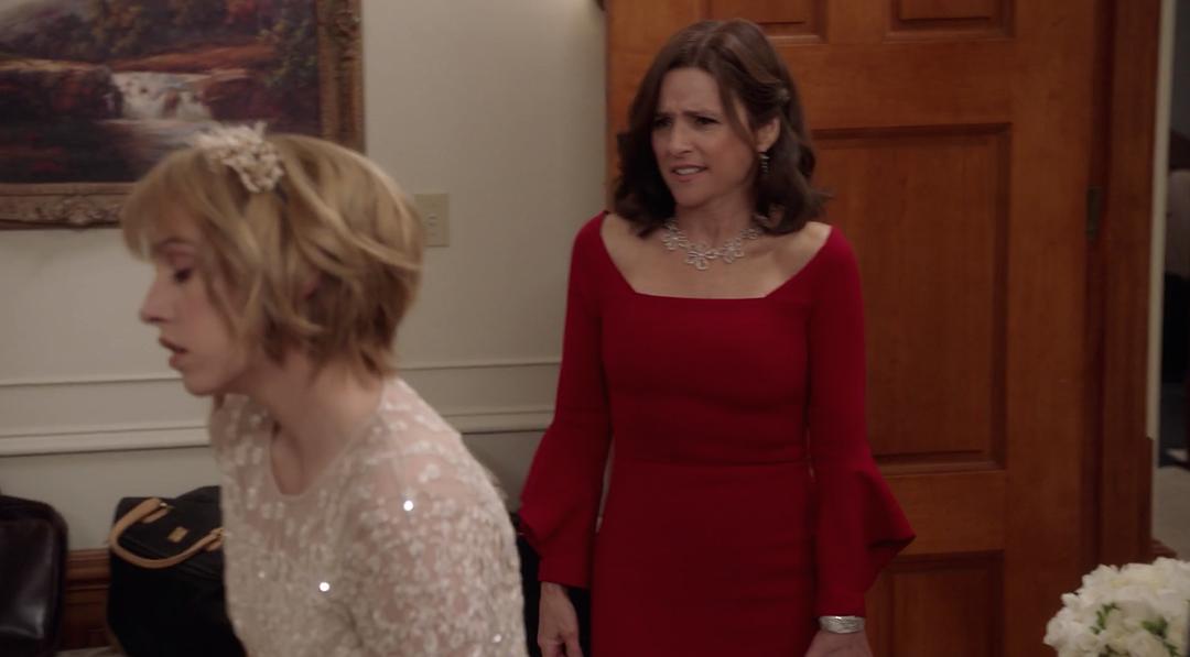 《副总统第七季》剧照第57张图片