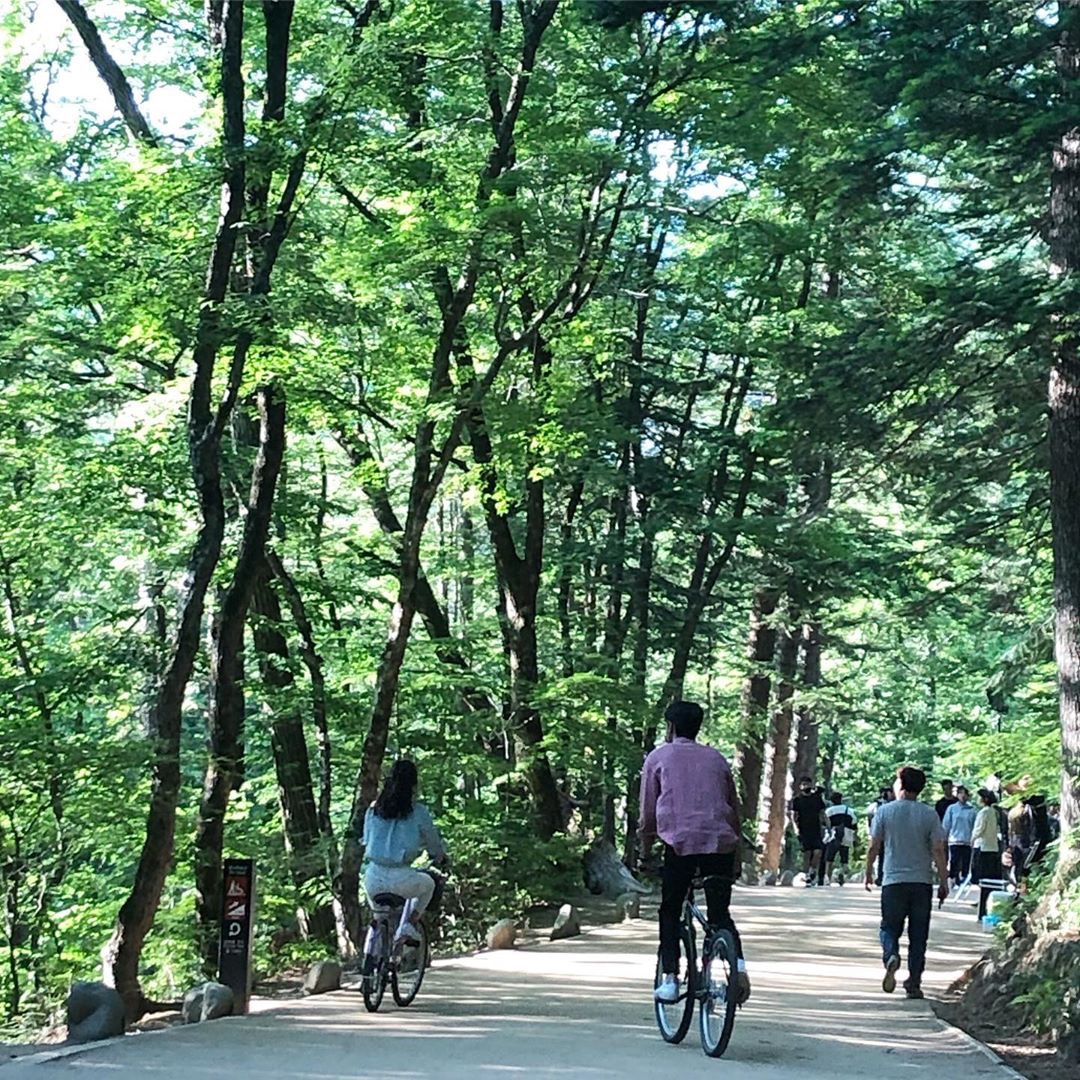 《森林》剧照第41张图片