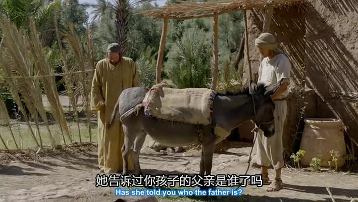 《基督降生记》海报第2张图片 《基督降生记》海报第2张图片
