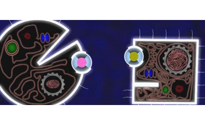 《二维世界》剧照第3张图片 《二维世界》剧照第3张图片