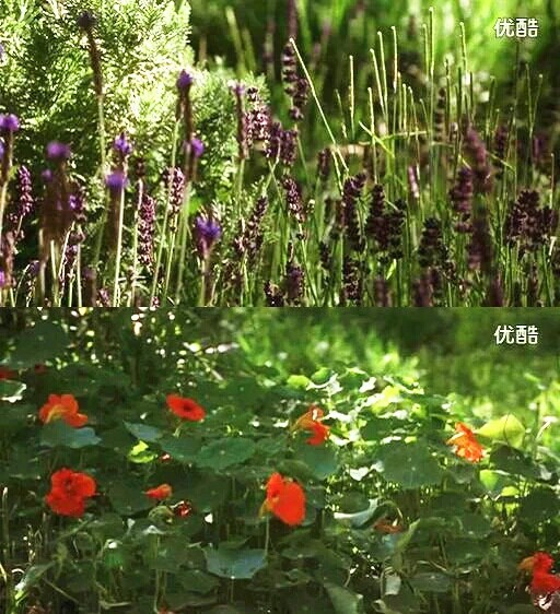 《勿忘我》海报第11张图片 《勿忘我》海报第11张图片