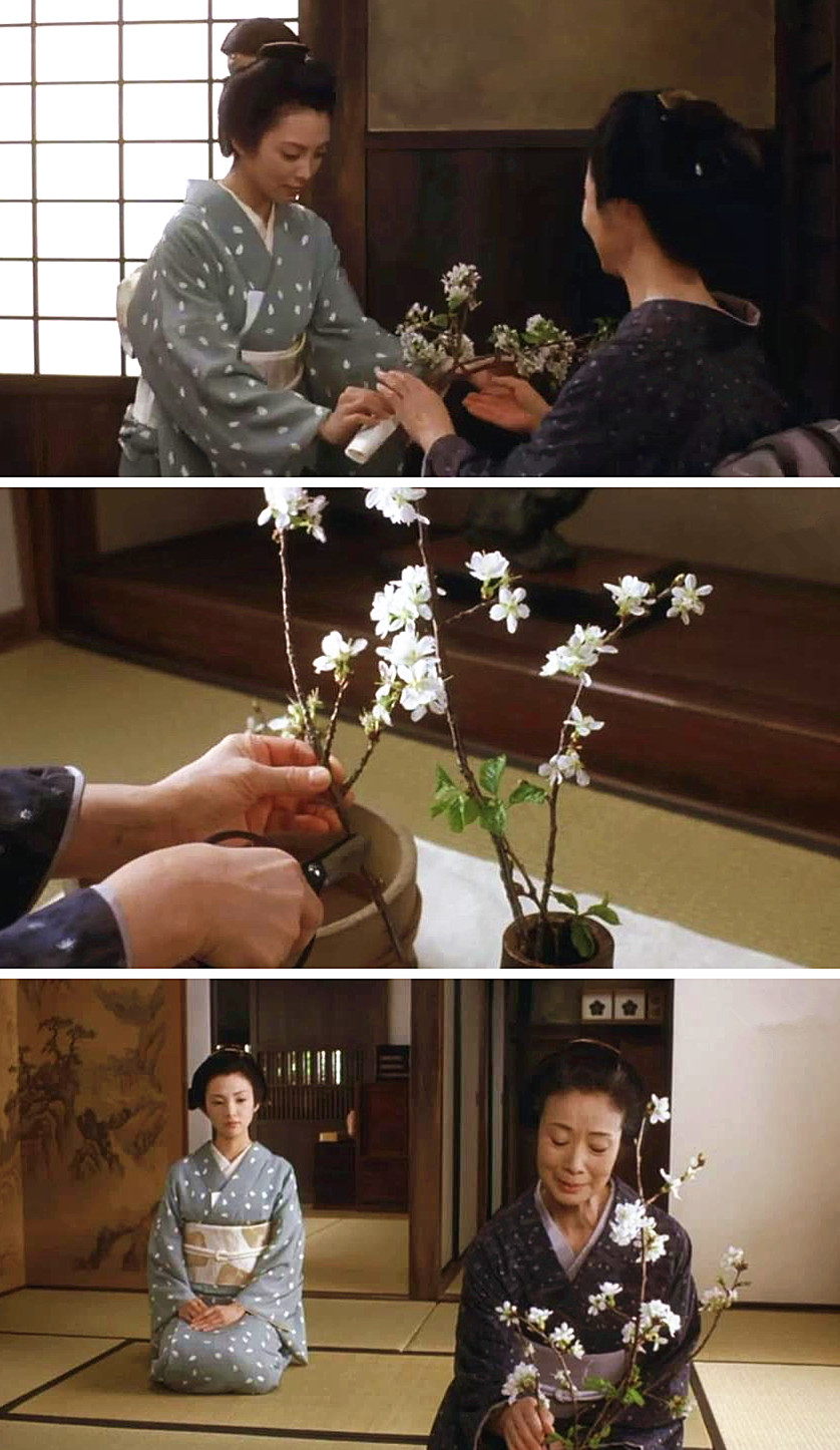 《山樱》海报第20张图片 《山樱》海报第20张图片