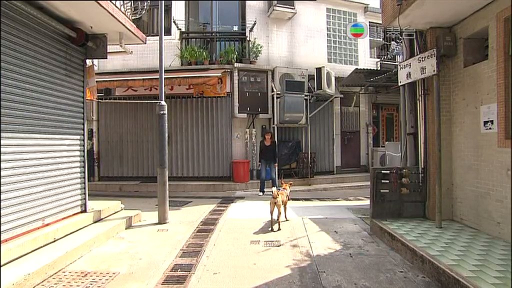 《当狗爱上猫》海报第54张图片 《当狗爱上猫》海报第54张图片