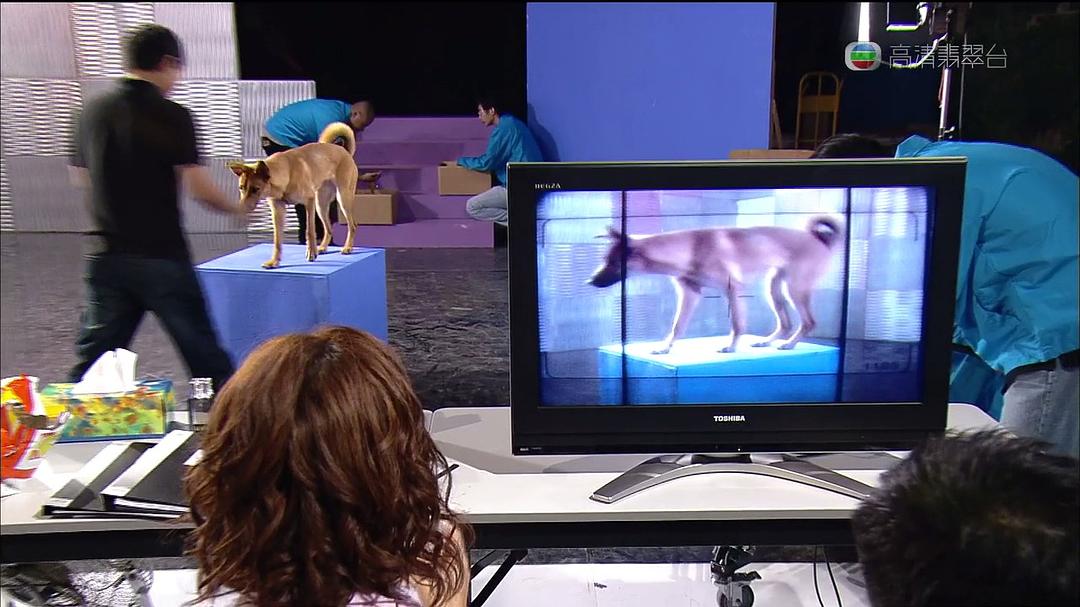 《当狗爱上猫》海报第12张图片 《当狗爱上猫》海报第12张图片