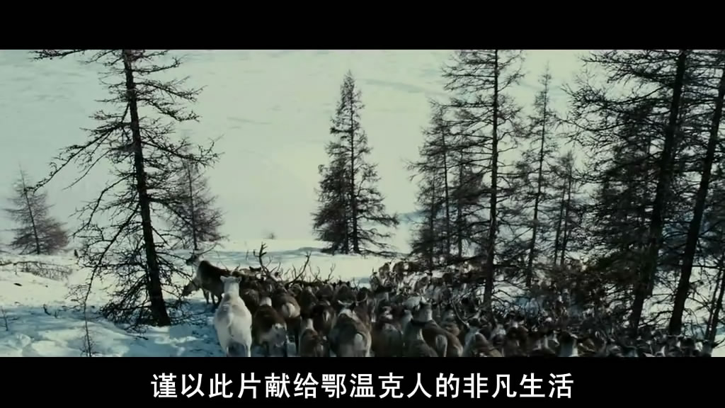 《狼》剧照第53张图片 《狼》剧照第53张图片