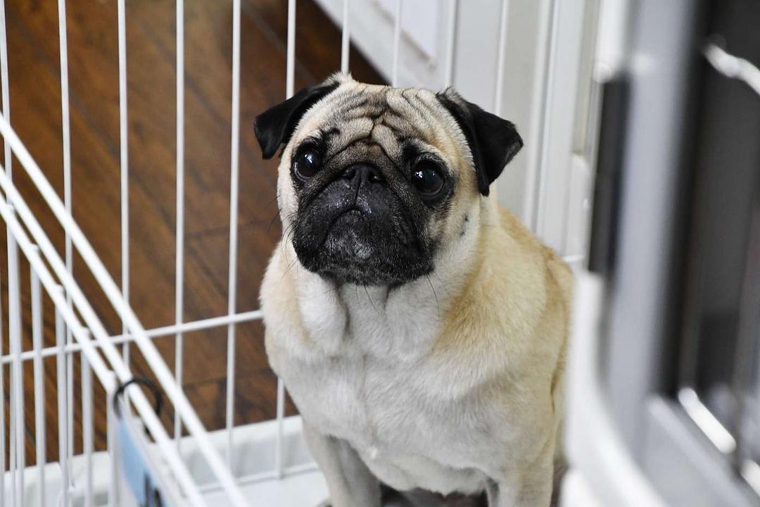 《还是不能结婚的男人》海报第1张图片 《还是不能结婚的男人》海报第1张图片